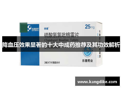 降血压效果显著的十大中成药推荐及其功效解析