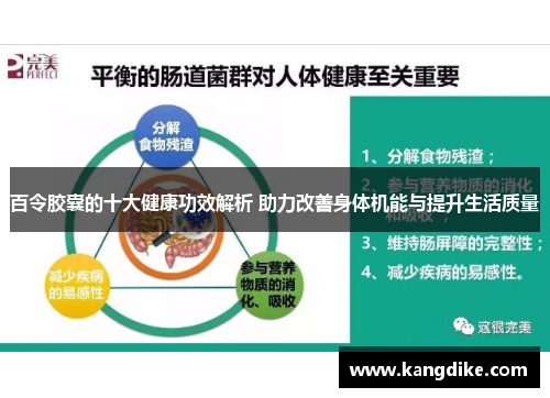 百令胶囊的十大健康功效解析 助力改善身体机能与提升生活质量