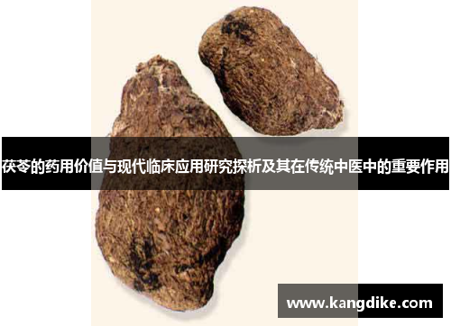 茯苓的药用价值与现代临床应用研究探析及其在传统中医中的重要作用